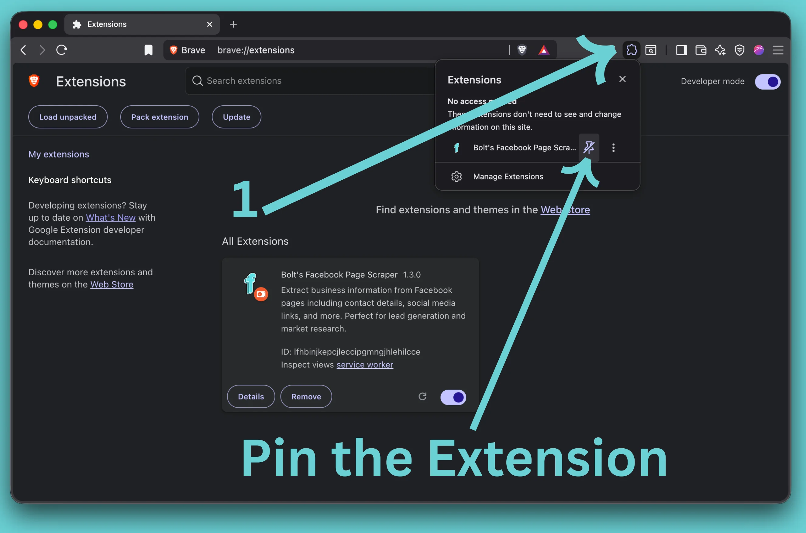Pin the extension